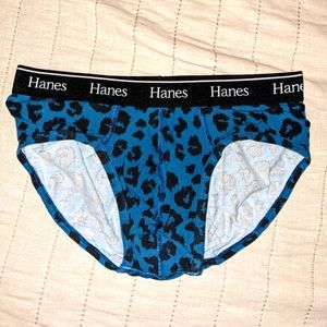 Hanes Briefs